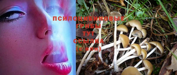 ешки Балабаново