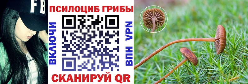 Псилоцибиновые грибы ЛСД Лесосибирск